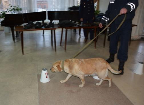 Представники Національної академії внутрішніх справ розповіли про роботу правоохоронців Представники Національної академії внутрішніх справ розповіли про роботу правоохоронців